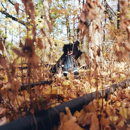 BILLY WOODS "GOLLIWOG" VINYL LP