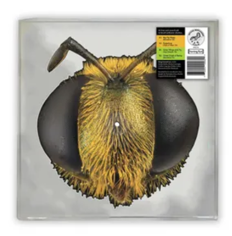 KING GIZZARD AND THE LIZARD WIZARD "BIG FIG WASP" VINYL PICTURE DISC