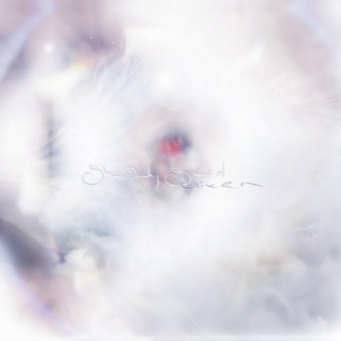 GLIXEN "SHE ONLY SAID" VINYL LP