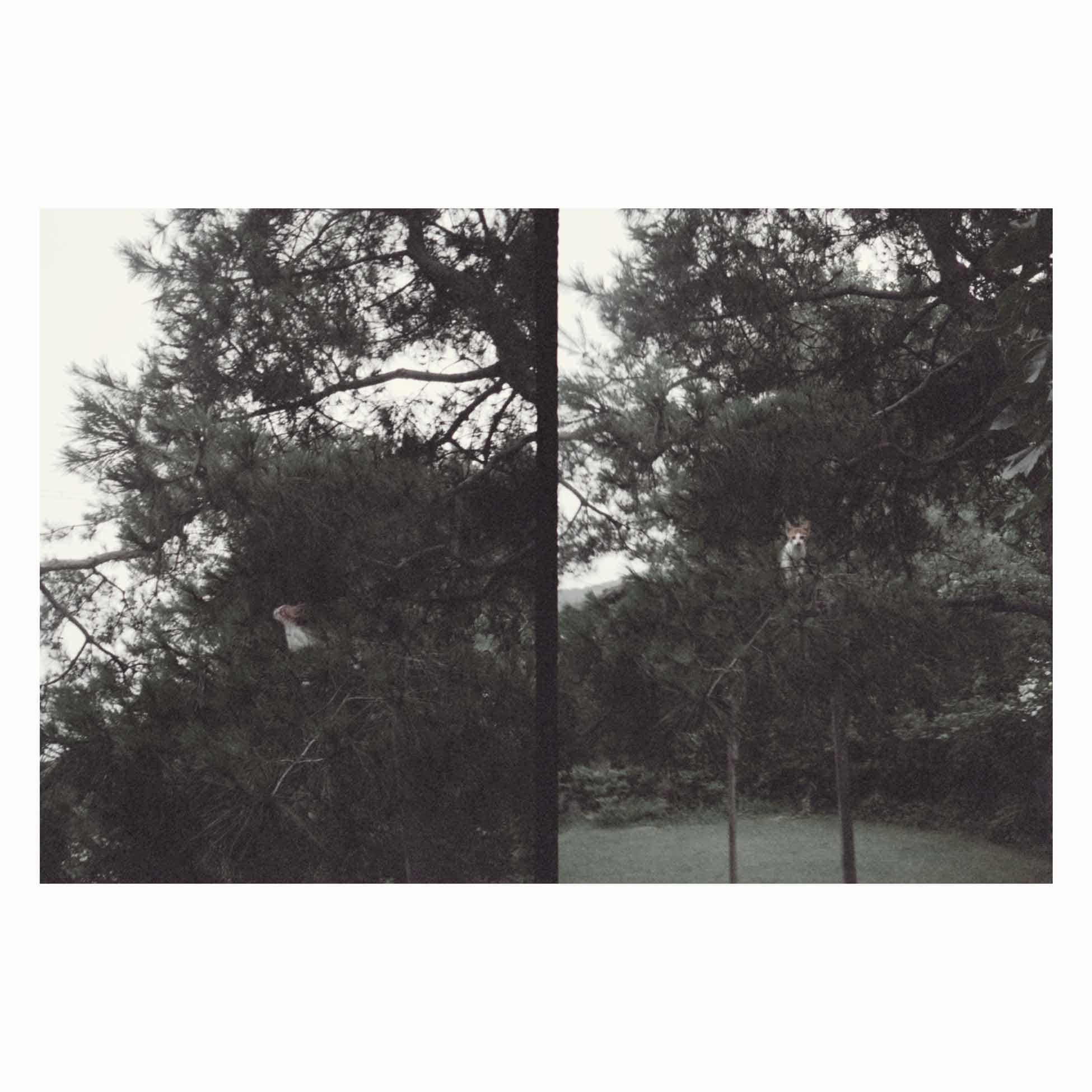 OKKYUNG LEE "JUST LIKE ANY OTHER DAY" VINYL LP