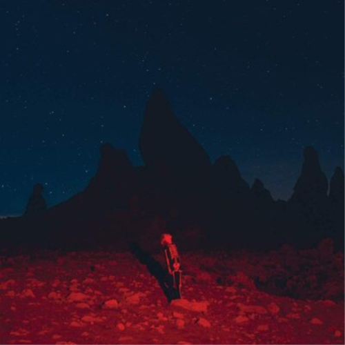PHOEBE BRIDGERS "PUNISHER" VINYL LP
