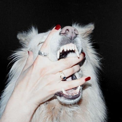 PORCH LIGHT "HUSH" VINYL LP