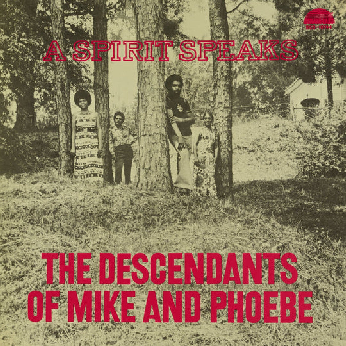 DESCENDANTS OF MIKE AND PHOEBE, THE "A SPIRIT SPEAKS" VINYL LP