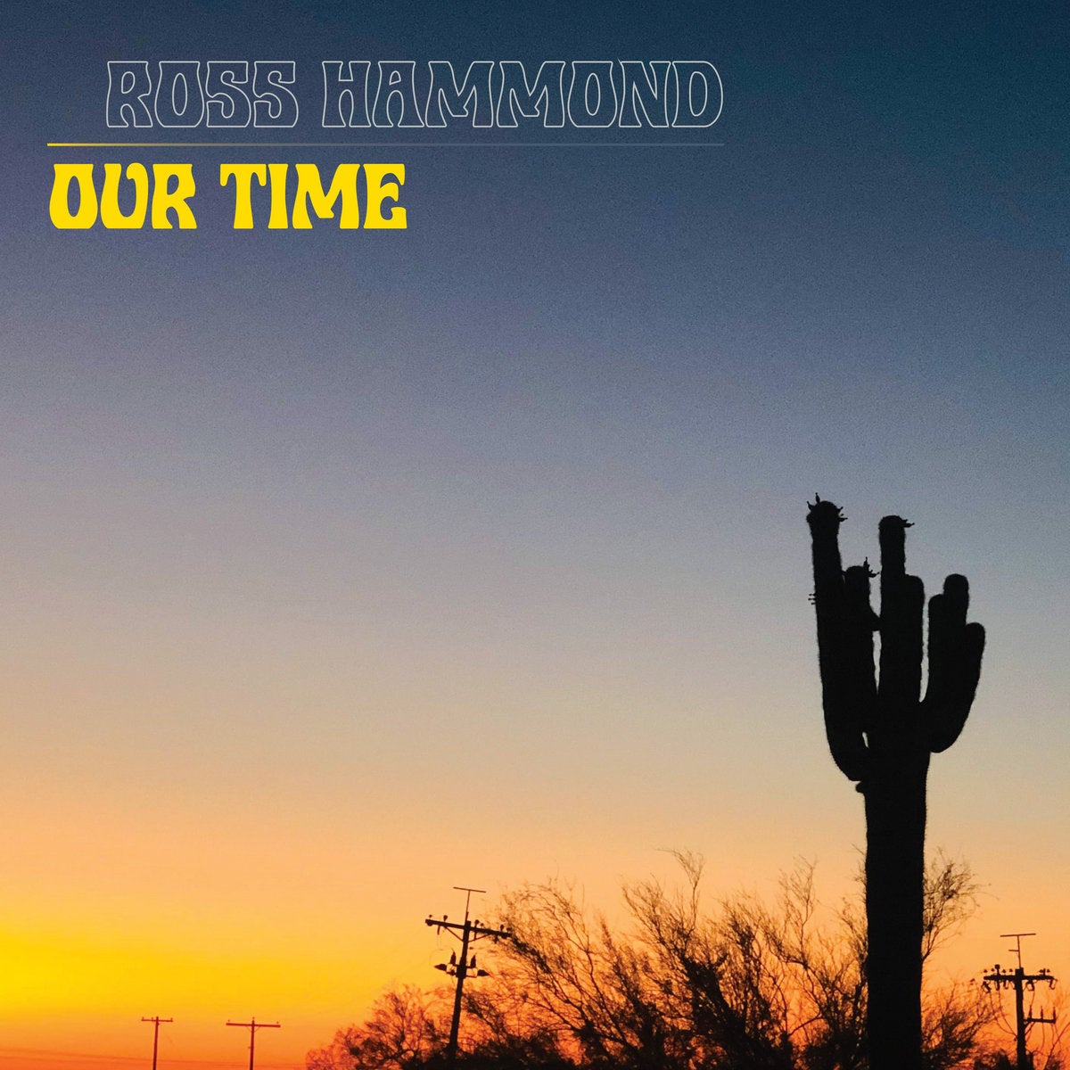 ROSS HAMMOND "OUR TIME" VINYL LP
