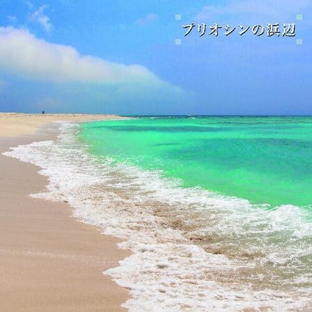 KEN-ICHIRO ISODA "BEACH OF THE PLIOCENE" VINYL LP