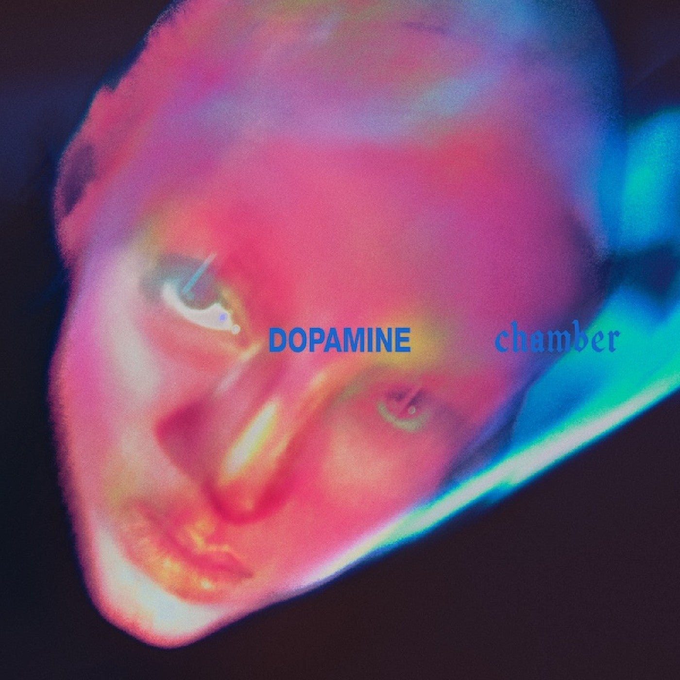FONTAINES D.C. "DOPAMINE CHAMBER" VINYL LP