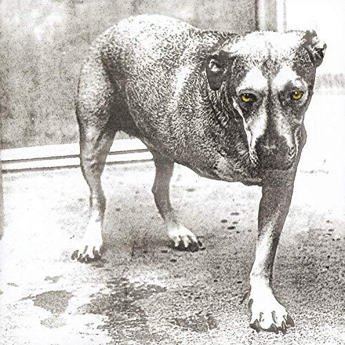 ALICE IN CHAINS "ALICE IN CHAINS" VINYL LP