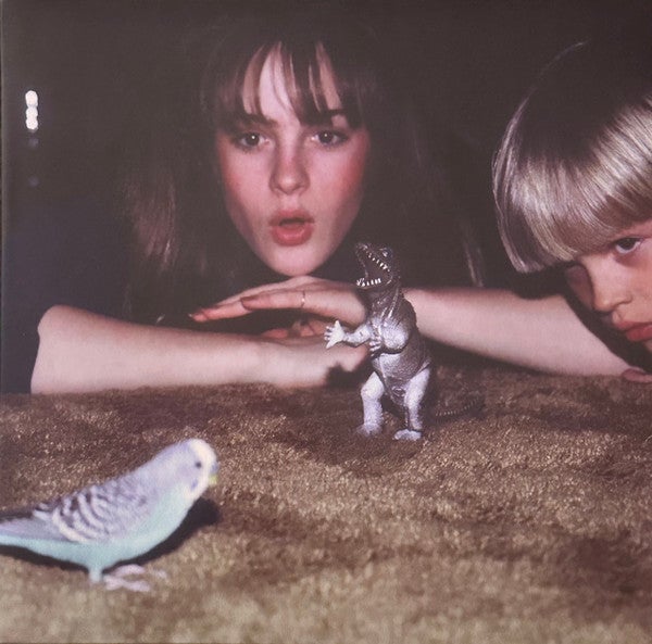 BIG THIEF "MASTERPIECE" VINYL LP