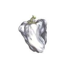 WEEN "WHITE PEPPER" VINYL LP