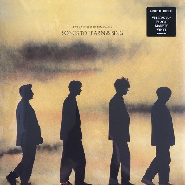 ECHO & THE BUNNYMEN "SONGS TO LEARN & SING" VINYL LP